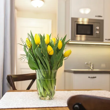 Appartement Seno6
